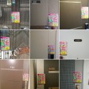 몸조아짐 피트니스 이미지