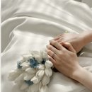 에브리모먼트 | [셀프 웨딩] 대전 아이폰스냅 추천 (유성컨벤션 기준)@에브리모먼트스냅 계약후기