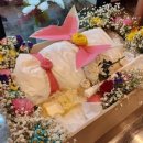 고양이 별 이미지