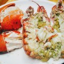 포차갈매기 이미지