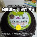 소화어린이집 | [어린이집 활동] 우주가 직접 담근 매실청 후기 ❤️ 매실청효능 매실청담그기
