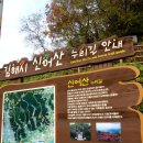김해 돛대산-신어산 가을빛(2015/11/10) 이미지