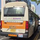 블루정형외과의원 이미지