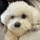 선샤인 동물병원 이미지