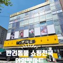 안양펫 | 안양애견용품 쇼핑은 여기로! 강아지&amp;고양이 용품 천국 안양펫마트 후기 🐶