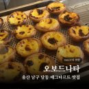 남구-146 | 울산 남구 달동 오보드나타 에그타르트 맛집 에타 리뷰 솔직후기
