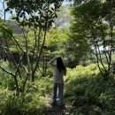 제주 오설록 티 뮤지엄 후기