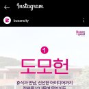 모모스 이미지