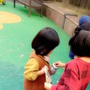 면역기능 강화에 도움이되는 뉴질랜드 초유 :) 뉴웰코리아 모에버 콜로스트럼 츄 애니멀 ♡
