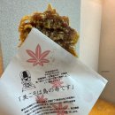 신사-214 | 히로시마 여행 필수코스ㅣ 미야지마 이츠쿠시마 신사 만조 간조 시간표