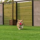 태안 알로하오에 애견풀빌라 이미지