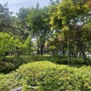 신풍근린공원 이미지