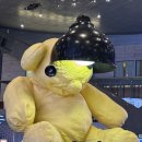 오페라열쇠 | [6박 8일 오스트리아 출장기] 브레겐츠 수상무대 '마탄의 사수' 오페라 관람 후기