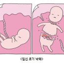 살인면허를 주니 이제는 값싸고 안전하게 살인할 권리를 보장하라는 자들 이미지