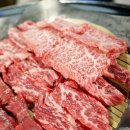 프로정육식당 이미지