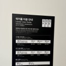 웰니스약국 네이버블로그