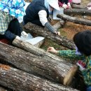 한가족농장 이미지