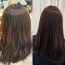 모던헤어 | 아주대미용실 추천 염색 잘하는 곳 모던헤어살롱 다크레드브라운 후기