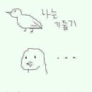 루나피에나 이미지