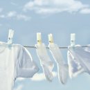 하기세탁 이미지