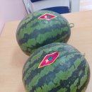 송천1동 주민센터 이미지