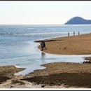 백사장해변 이미지