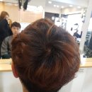 진희