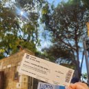 도루물 | Rossio역 광장 ㅣ 상조르즈 성 ㅣ 산타루치아 전망대 ㅣ 리스본 대성당 ㅣ 야경전망대(미라도루다그라사)