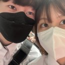 노리댕댕 이미지