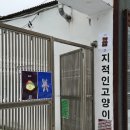 지에스25 송우솔모루점 | 문래 이색데이트 문래창작촌 공방 지적인고양이 양모펠트 인형만들기