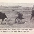 식구개 이미지