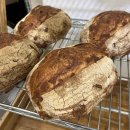 일월카서비스 이미지