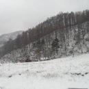 꽃별하얀 이미지