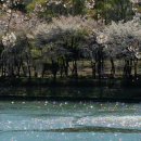 물결치는 달빛 (  이미지