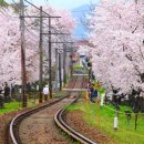 센텀릴리의원 이미지