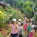 광명초등학교 이미지