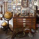 쿤스트캄머 이미지