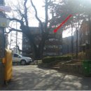 신현동-4 이미지