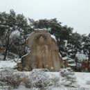 용봉산자연휴양림 이미지