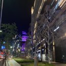 백현동 소로2 | [분당 판교]하겐다즈 판교 알파리움/판교 디저트 맛집