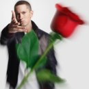 남북체육관 | 2025 TV CHOSUN GLF 서포터즈 합격 후기