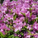 신정1동자치회관 이미지