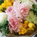 정으로사는세상을 이미지