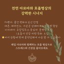 아로마숨명상 이미지