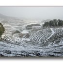 천보다원 이미지