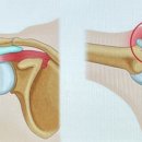 큰마디큰병원 이미지