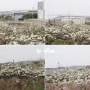 이화정농장 이미지