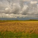 이지스한의원 이미지