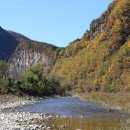 정선골민박 이미지