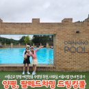 카페차밍 | 양평애견수영장 아이랑 함께 즐기는 팔레드차밍 드링킹풀 물놀이 후기